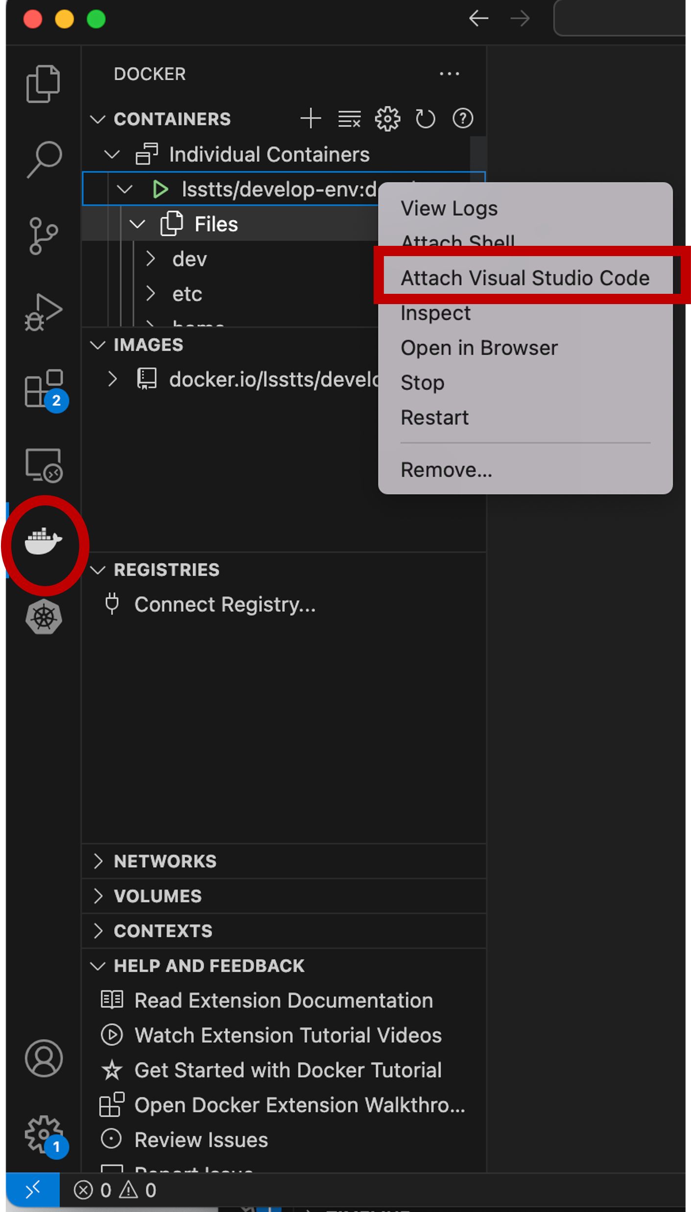 ../../../_images/visual_studio_docker.png
